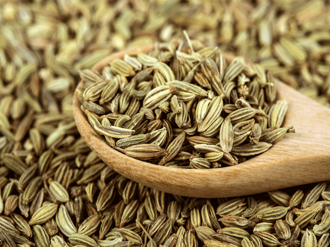 Fennel seeds